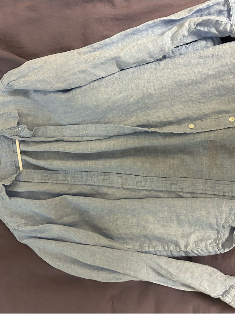 Everlane Light Blue Linen Shirt